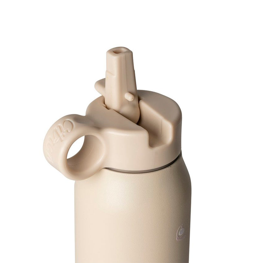 Citron Insulated Water Bottle 350ml Ballerina