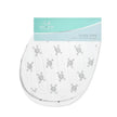 Aden + Anais Classic 2Pack Burpy Bibs Lovestruck