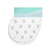 Aden + Anais Classic 2Pack Burpy Bibs Lovestruck