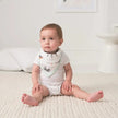 Aden + Anais Classic Bandana Bib Color Pop Fossil