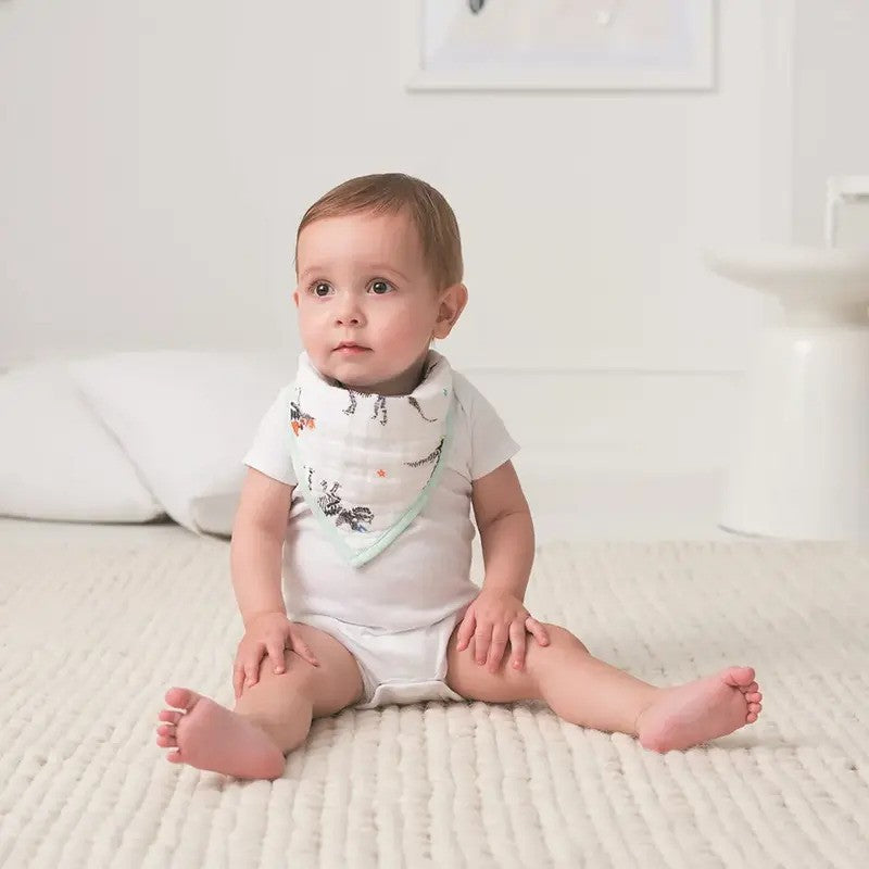 Aden + Anais Classic Bandana Bib Color Pop Fossil