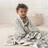 Aden + Anais Silky Soft Dream Blanket in Motion Wedges