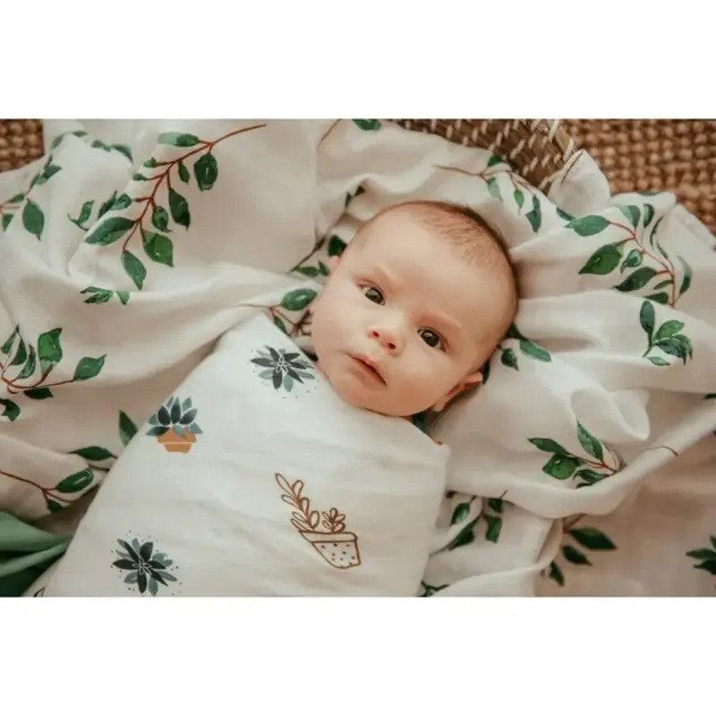 Anvi Baby Muslin Swaddle (120X120CM Set of 3) Green Planet