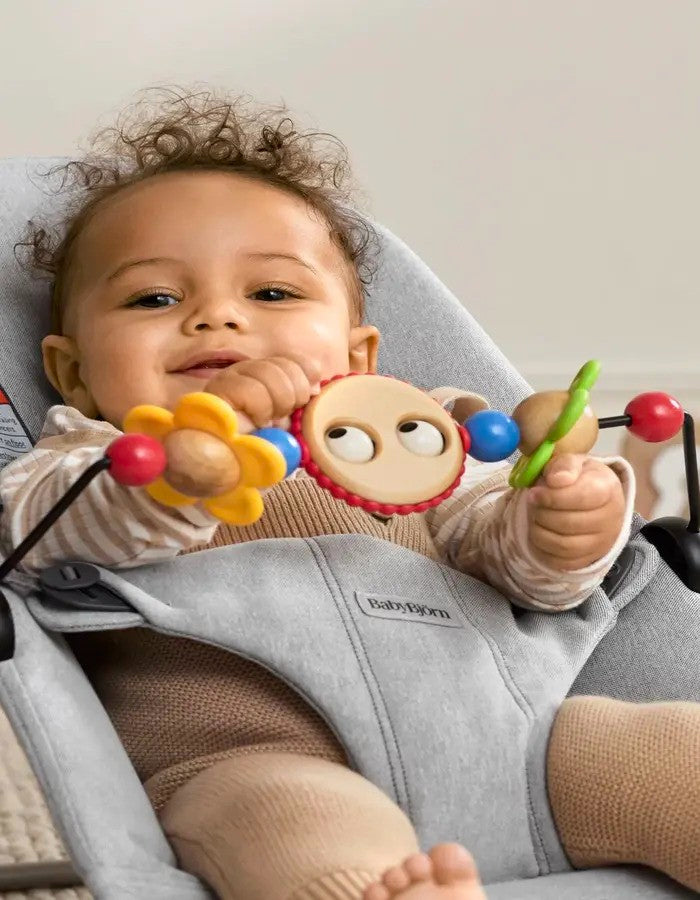 BabyBjorn Toy For Bouncer Googly Eyes