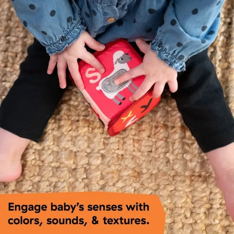 Baby Einstein Alpha Stacks Soft Blocks (3M - Plus)