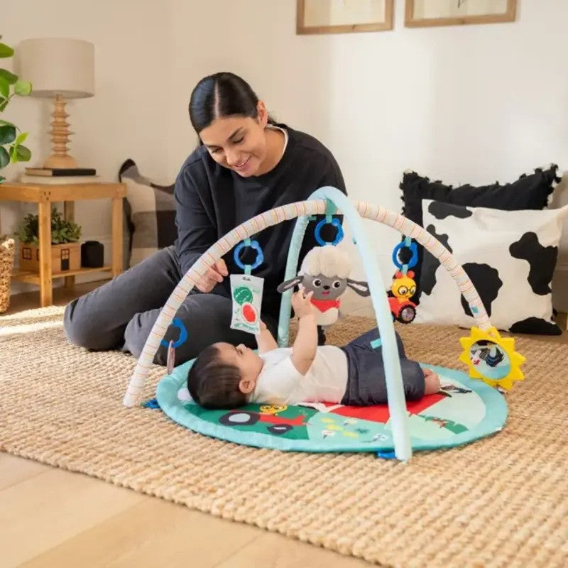 Baby Einstein Happy Harvest Touch & Feel Activity Gym