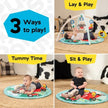 Baby Einstein Happy Harvest Touch & Feel Activity Gym