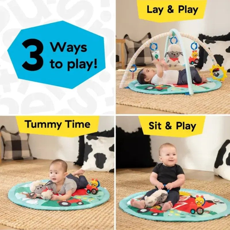 Baby Einstein Happy Harvest Touch & Feel Activity Gym