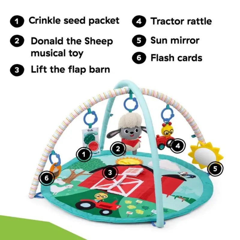 Baby Einstein Happy Harvest Touch & Feel Activity Gym
