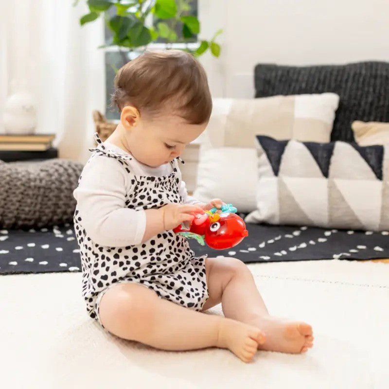 Baby Einstein Roxy's Bright Flight Musical Toy (3m-Plus)