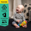 Baby Einstein Twist A Pal Cal Sensory Toy (6M-Plus)
