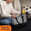 Baby Einstein Twist A Pal Cal Sensory Toy (6M-Plus)