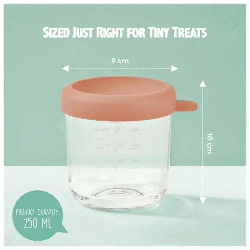 Beaba Conservative Glass Jars 250ML Terracotta