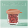 Beaba Conservative Glass Jars 250ML Terracotta