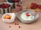 Beaba Silicone Meal Set 4pcs (4M Plus) - Terracotta Gazelle