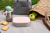 Beaba Stainless Steel Lunch Box Velvet Dusty Rose