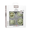 Bibs Try-it Collection (Nipple Try Pack) S1 Sage