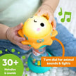 Bright Starts Just For Sun Flashlight Toy (6M-Plus)