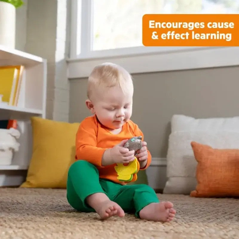 Bright Starts Musical Monkeys Toy (3M-Plus)