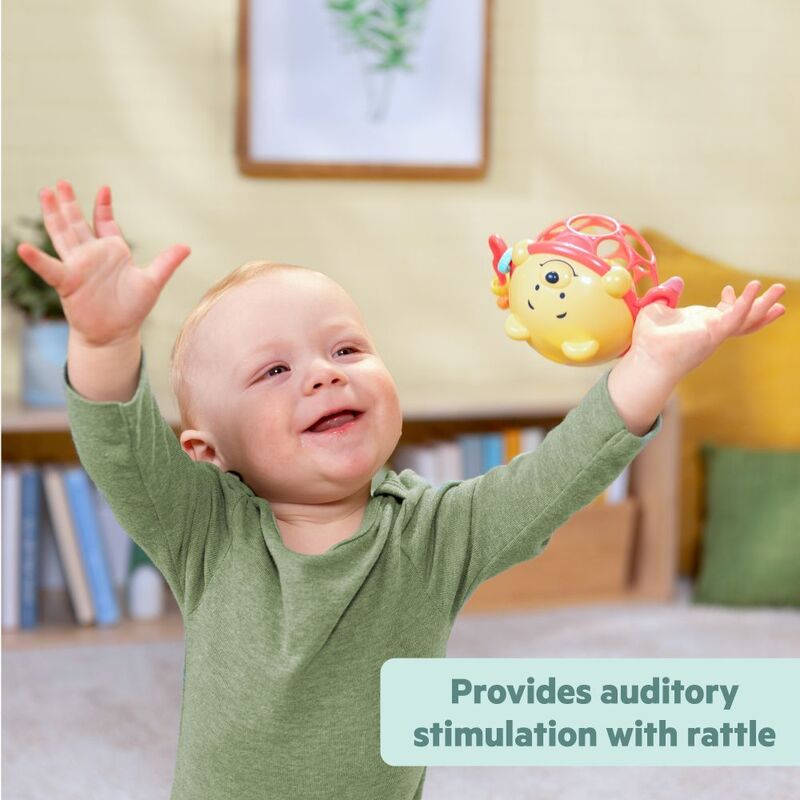 Bright Starts Winnie The Pooh Jingle & Shake Rattle Toy (0M-Plus)