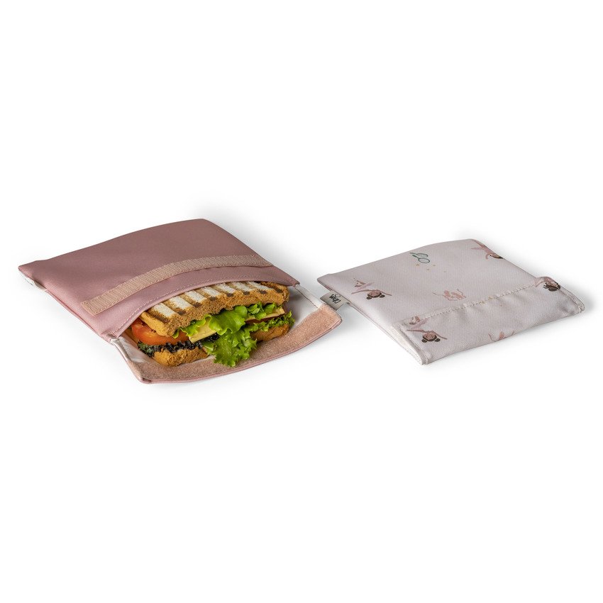 Citron 2023 Reusable Sandwich Bag Set of 2 Ballerina