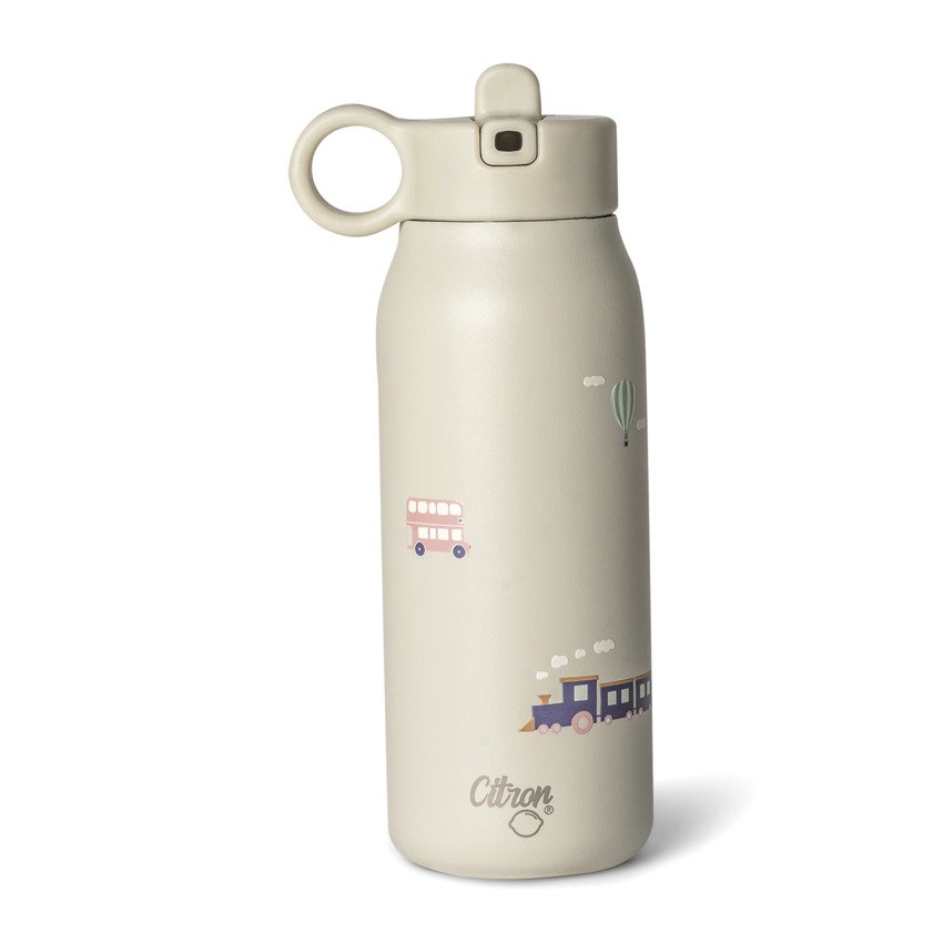 Citron 2023 Stainless Steel Water Bottle 250ml Vehicles