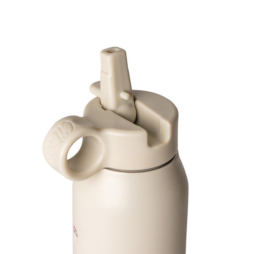 Citron Insulated Water Bottle 350ml Vehicles