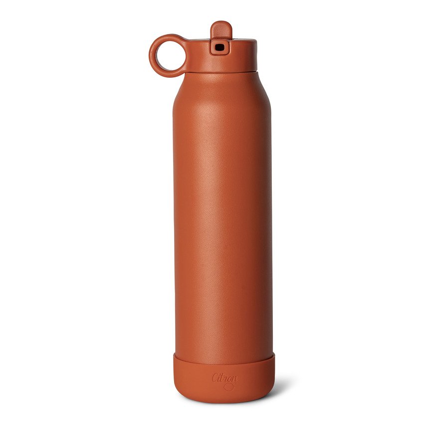 Citron 2023 Stainless Steel Water Bottle 500ml Brick