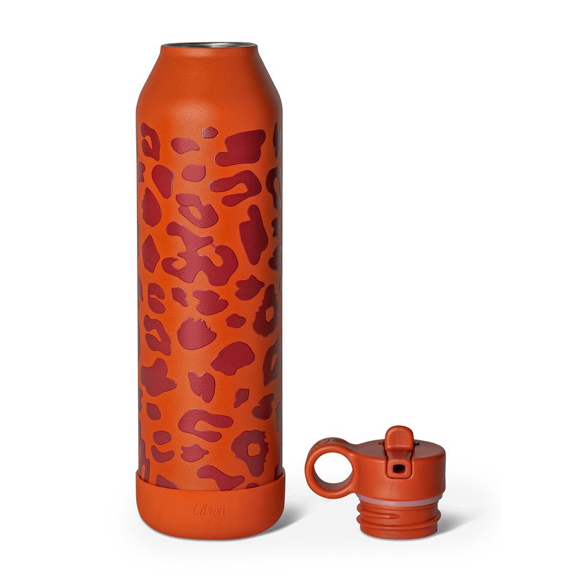 Citron 2023 Stainless Steel Water Bottle 750ml Leo