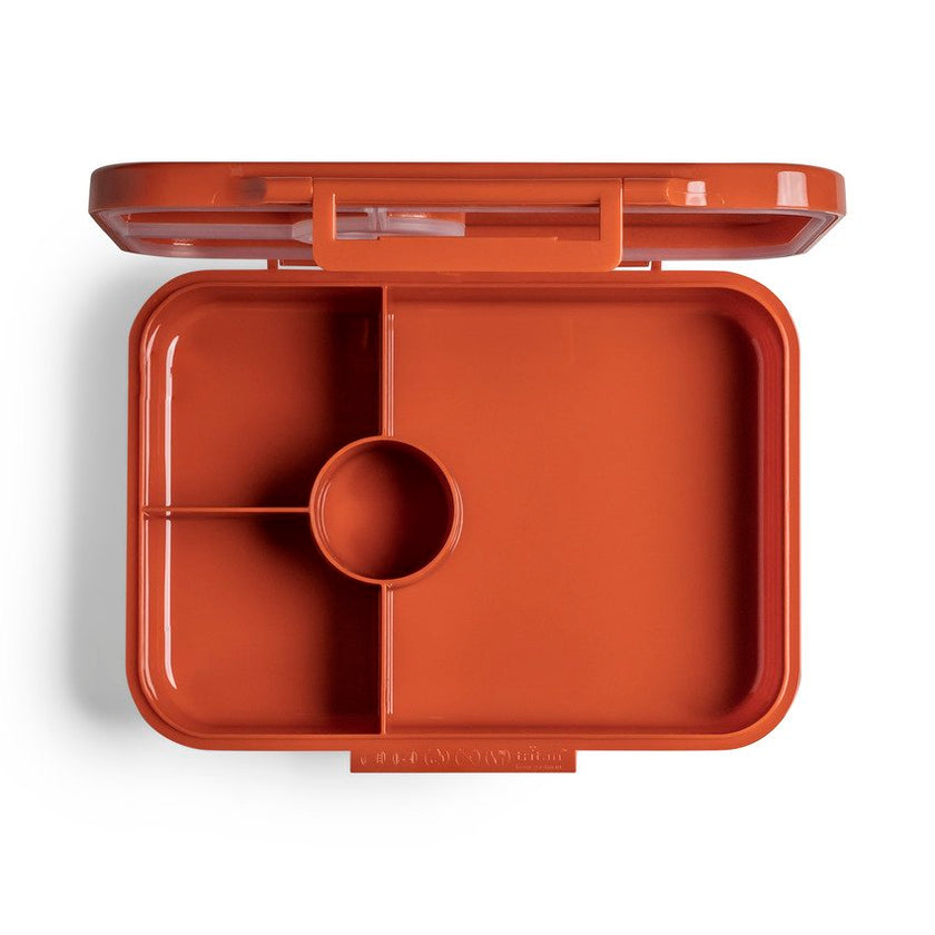 Citron Tritan Lunchbox Leo