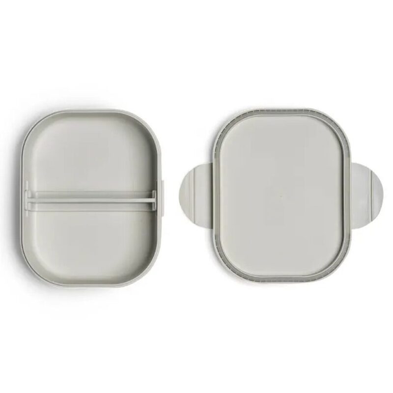 Citron Bio Based Lunchbox Vehicles