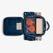 Citron Insulated Lunchbag Backpack Dino