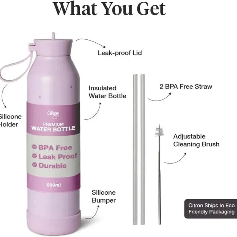 Citron Stainless Steel Water Bottle 500ML Spaceship