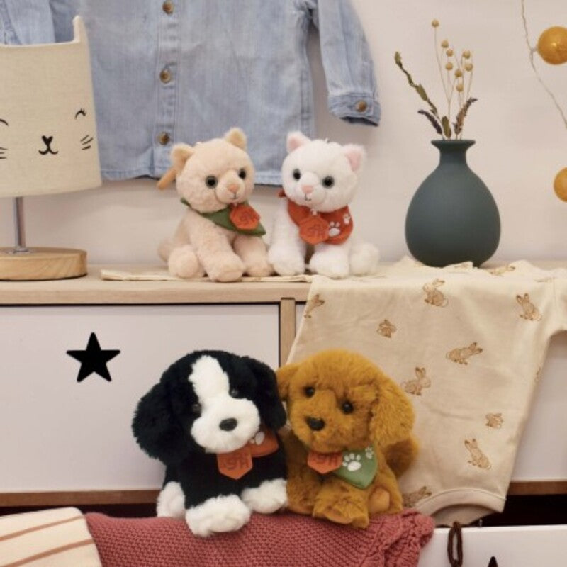 Doudou Et Compagnie Histoire D' Ours La Spa Cat Beige