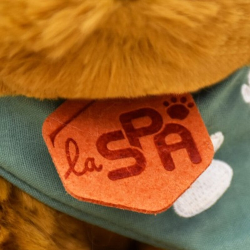 Doudou Et Compagnie Histoire D' Ours La Spa Dog Beige