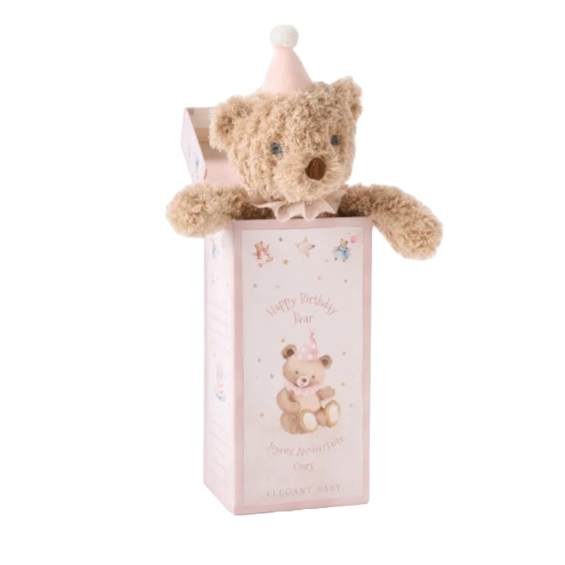 Elegant Baby Gift Box Plush Toy Birthday Bear Pink