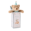 Elegant Baby Gift Box Plush Toy Birthday Bear Aqua