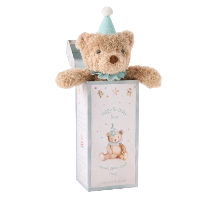 Elegant Baby Gift Box Plush Toy Birthday Bear Aqua