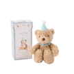 Elegant Baby Gift Box Plush Toy Birthday Bear Aqua