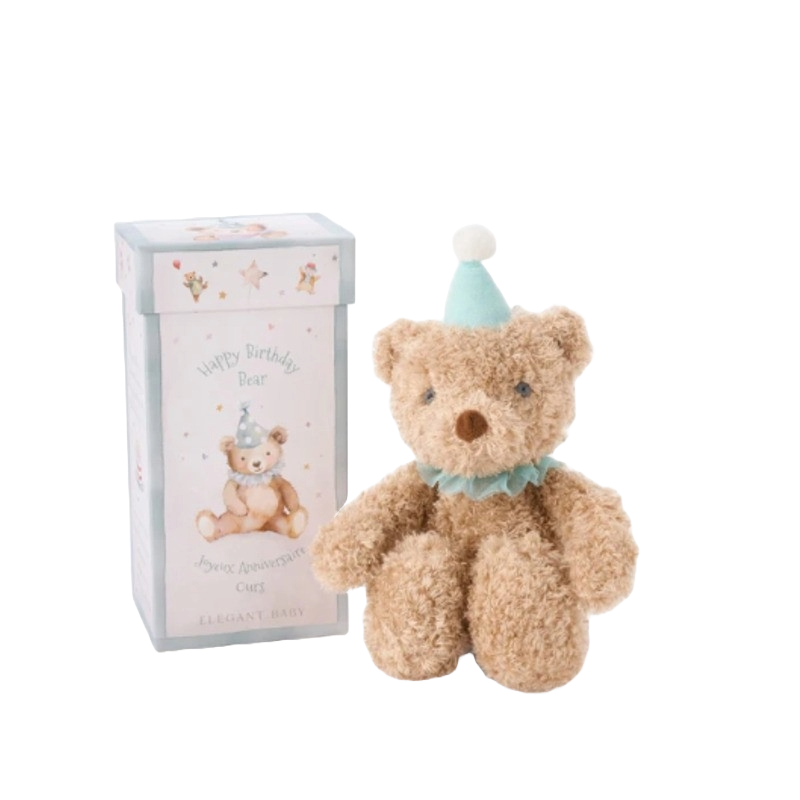 Elegant Baby Gift Box Plush Toy Birthday Bear Aqua