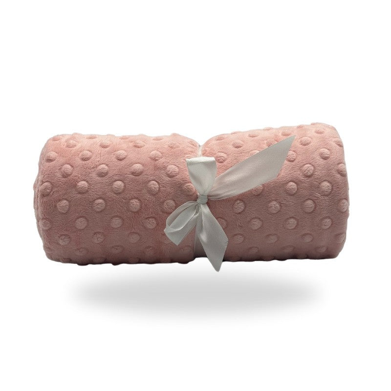 Five Little Ducks Minky Blanket Shell