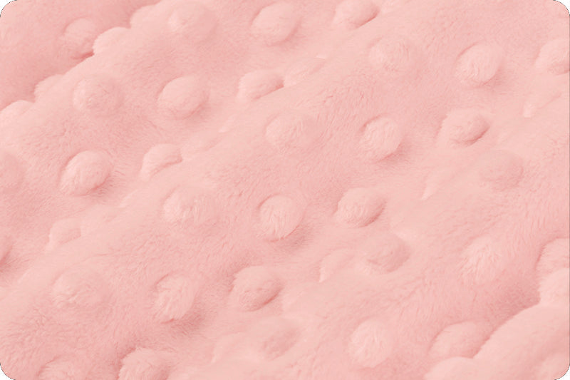 Five Little Ducks Minky Blanket Shell