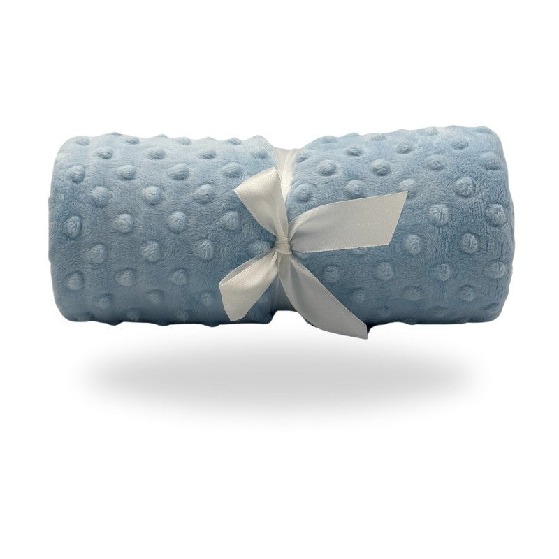 Five Little Ducks Minky Blanket Baby Blue