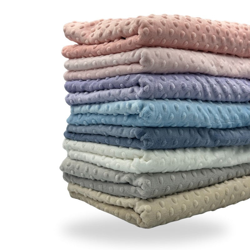 Five Little Ducks Minky Blanket Baby Blue