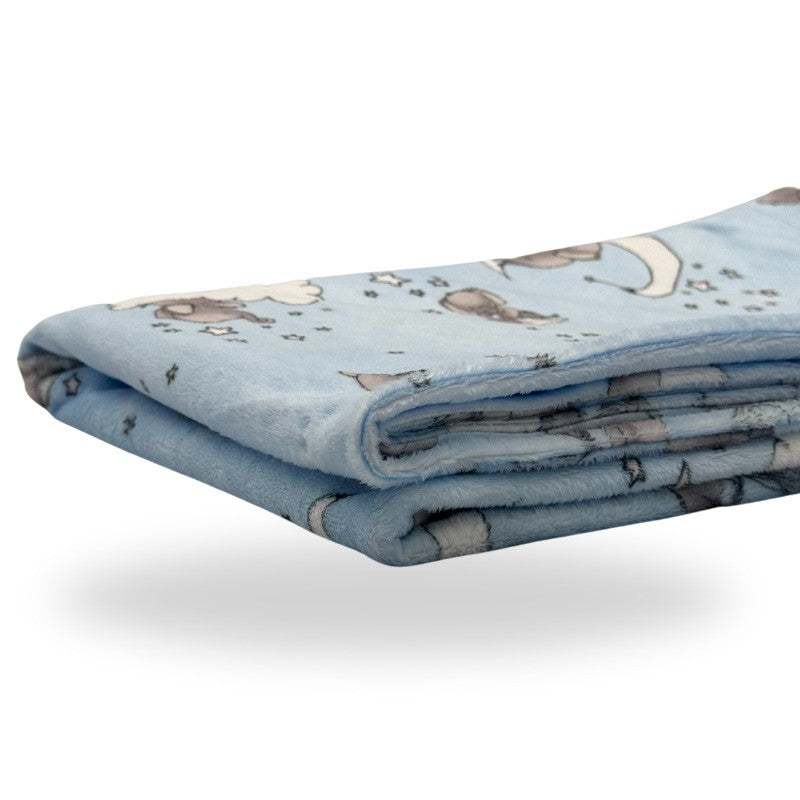 Five Little Ducks Minky Blanket SMD Dream Big Baby Blue