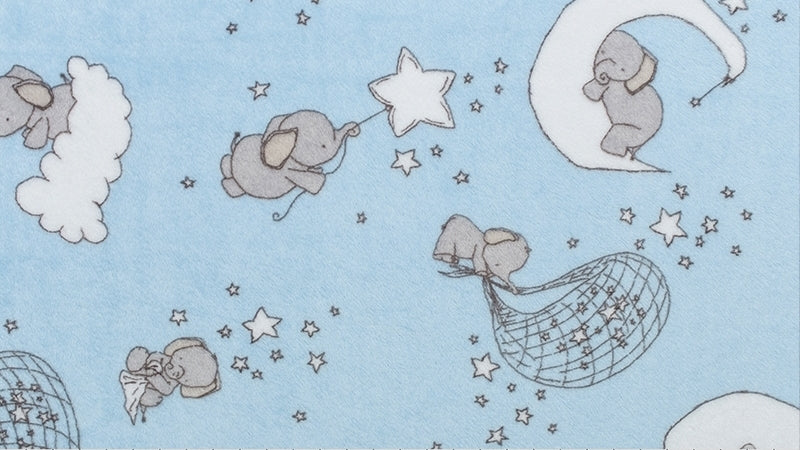 Five Little Ducks Minky Blanket SMD Dream Big Baby Blue