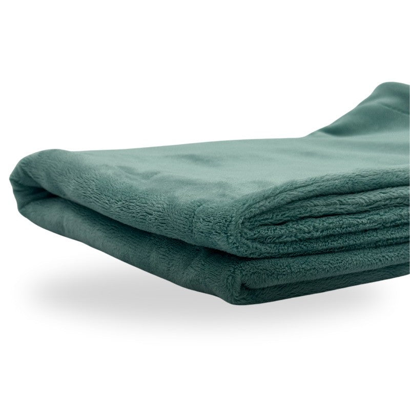 Five Little Ducks Minky Blanket Spearmint