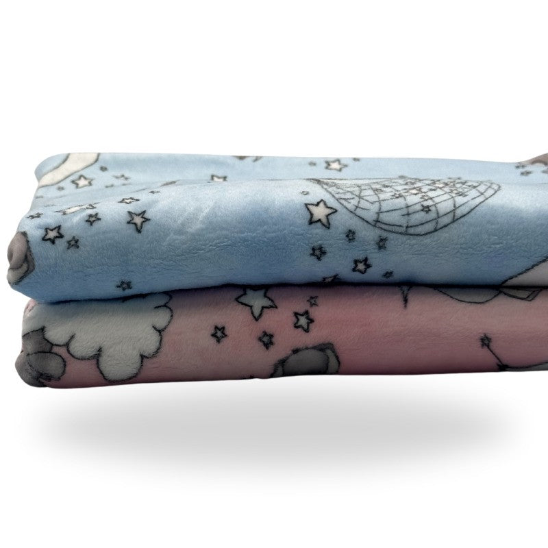 Five Little Ducks Minky Blanket SMD Dream Big Baby Blue