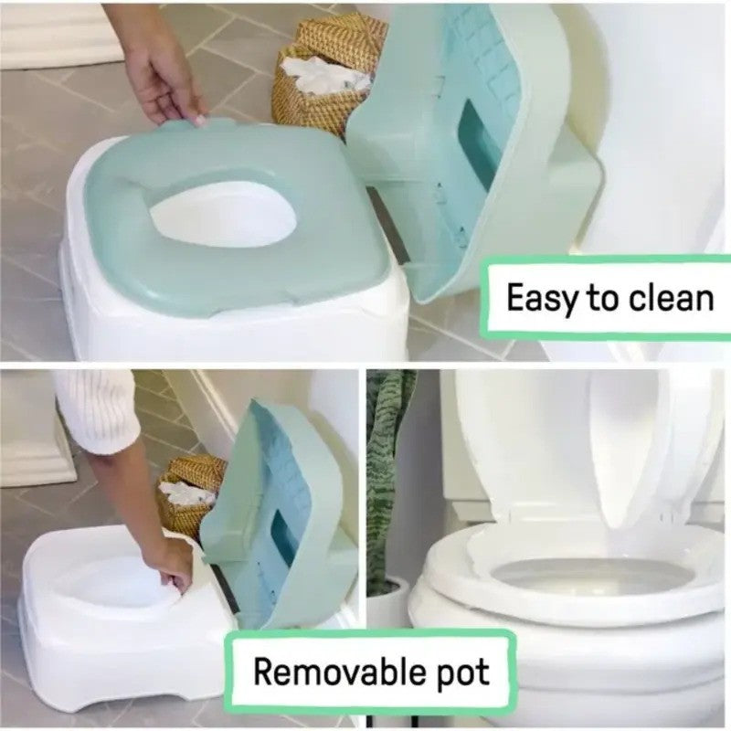 Ingenuity 3-in-1 Double Step Stool Potty