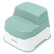 Ingenuity 3-in-1 Double Step Stool Potty